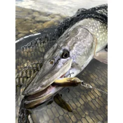 LEURRE COULANT STUCKI FISHING FANATICS LUCKY BEGGAR 85S - 8.5CM -Promos Peche Azur Magasin leurre coulant stucki fishing fanatics lucky beggar 85s 85cm z 2739 273972 4