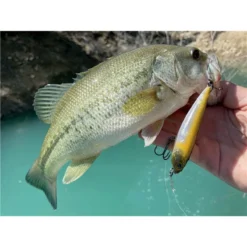 LEURRE DE SURFACE STUCKI FISHING FANATICS STRAYER 60F - 6CM -Promos Peche Azur Magasin leurre de surface stucki fishing fanatics strayer 60f 6cm z 2739 273981 3