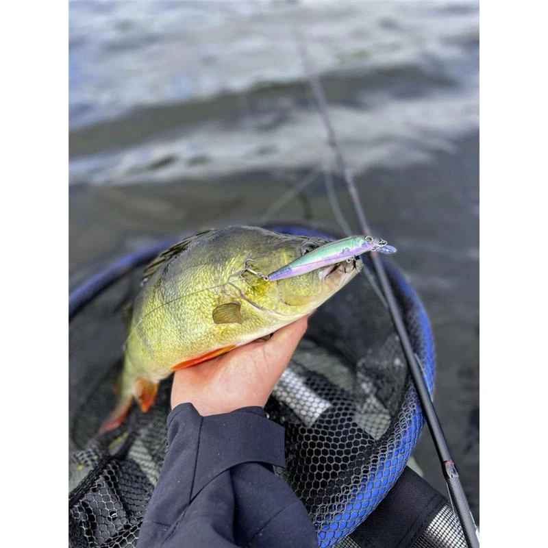 LEURRE SUSPENDING 4STREET TWITCH WITCH - 6.7CM 3 LEURRE SUSPENDING 4STREET TWITCH WITCH - 6.7CM – Image 3