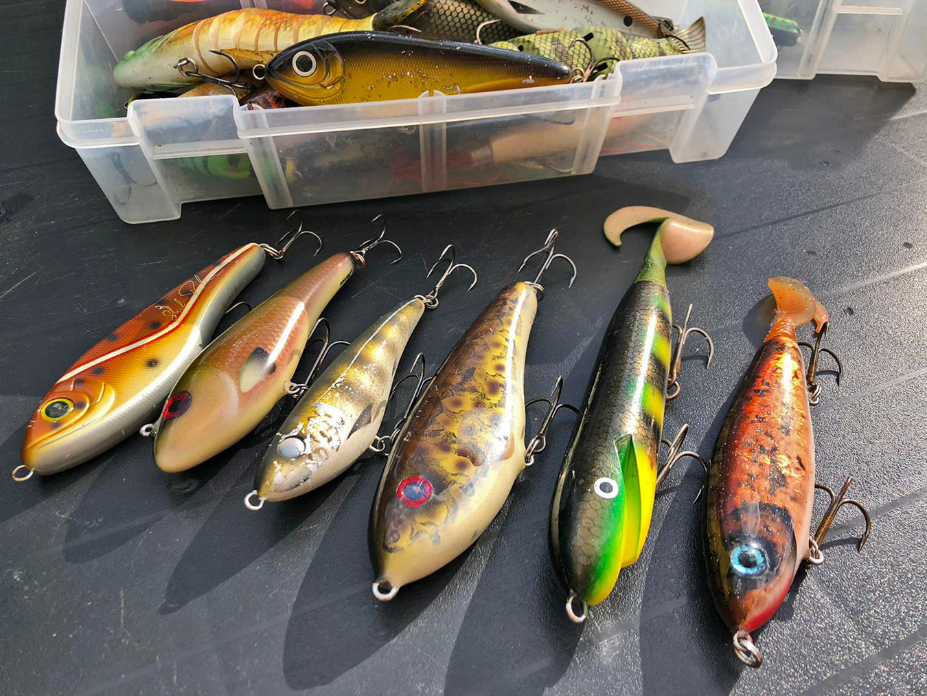 Promos Peche Azur Magasin -Promos Peche Azur Magasin 8db2009b 89c0 4076 a6fe 11e71c77b247